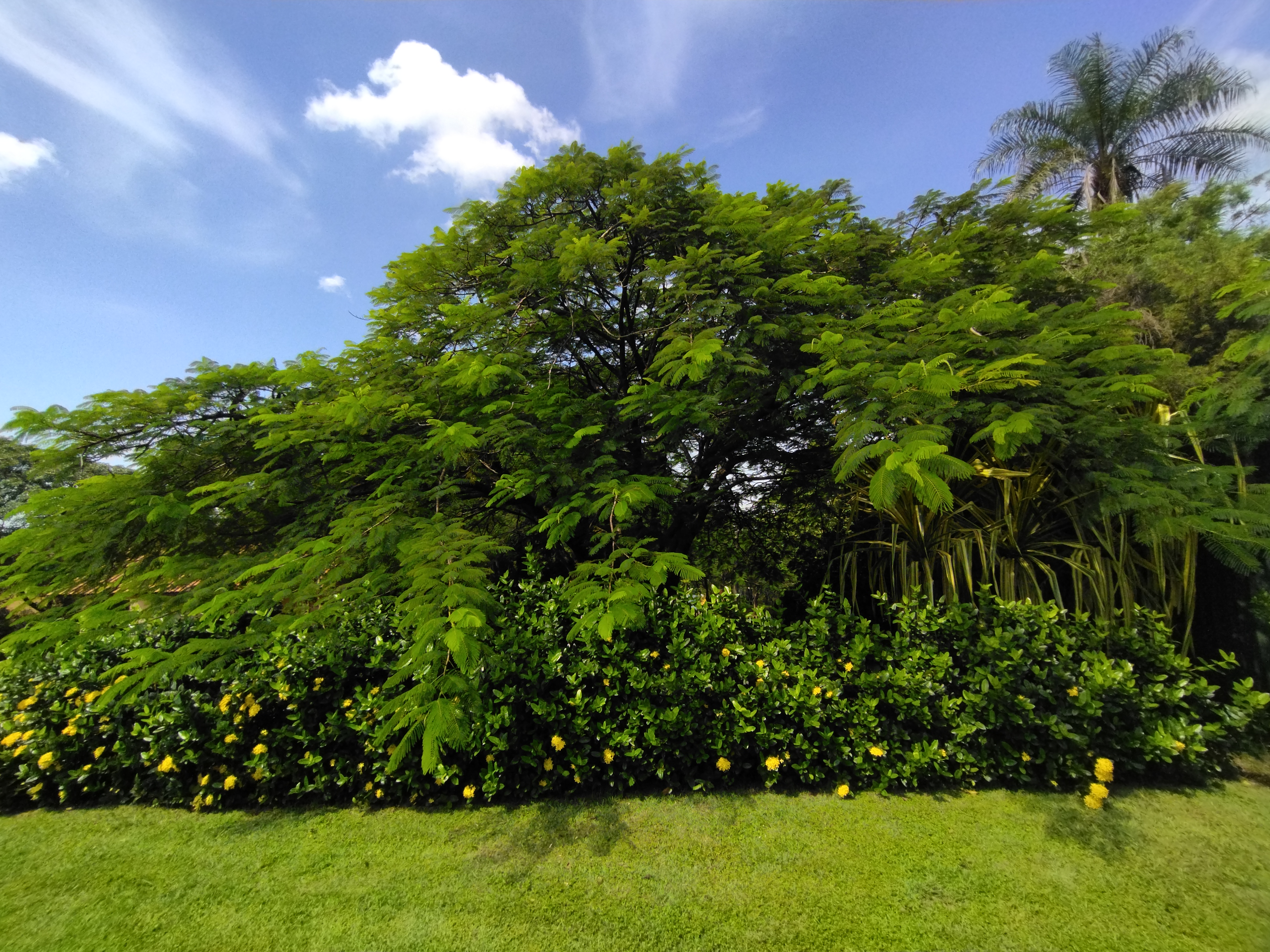 Casa de Condomínio à venda e aluguel com 5 quartos, 355m² - Foto 34