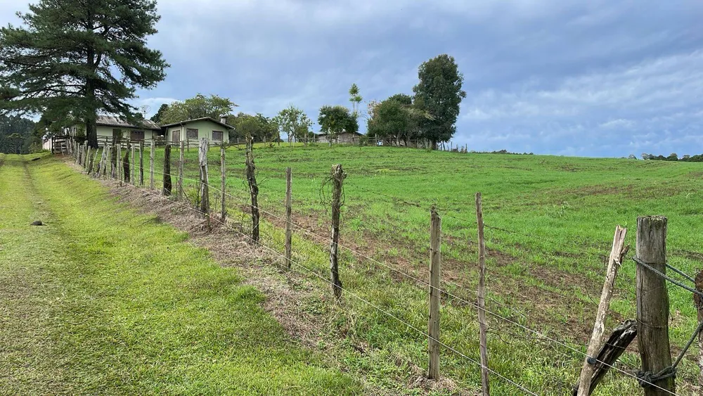 Terreno, 9 hectares - Foto 2