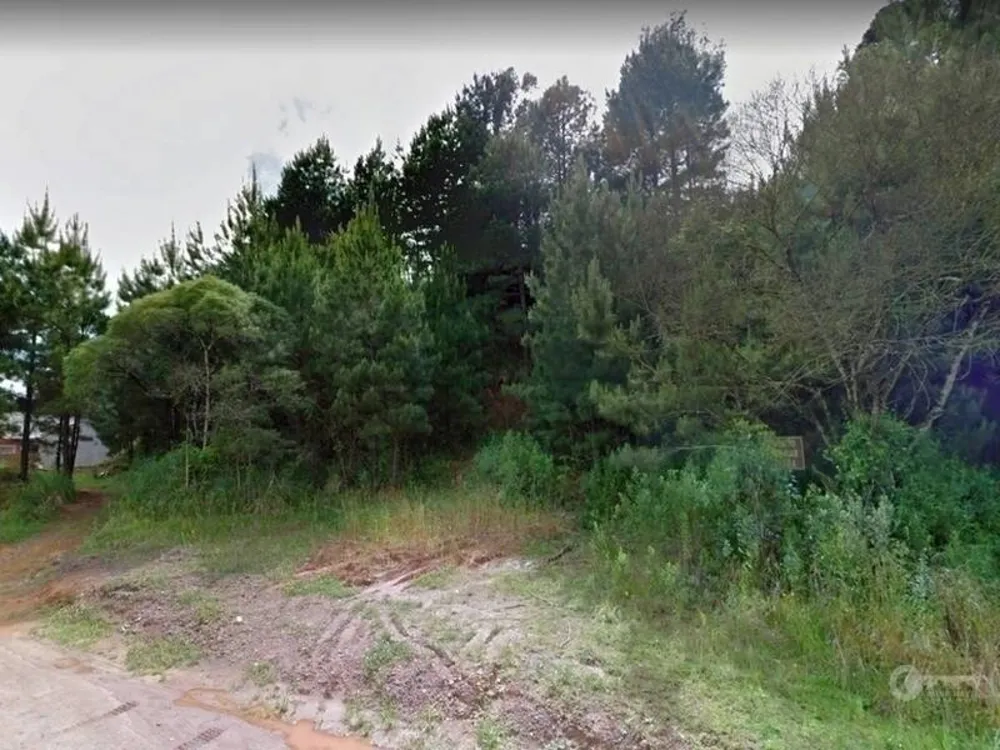 Terreno, 960 m² - Foto 6