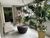 Apartamento, 4 quartos, 265 m² - Foto 4