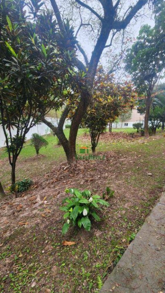 Apartamento, 3 quartos, 90 m² - Foto 12