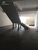 Depósito-Galpão, 677 m² - Foto 7