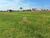 Terreno, 600 m² - Foto 3