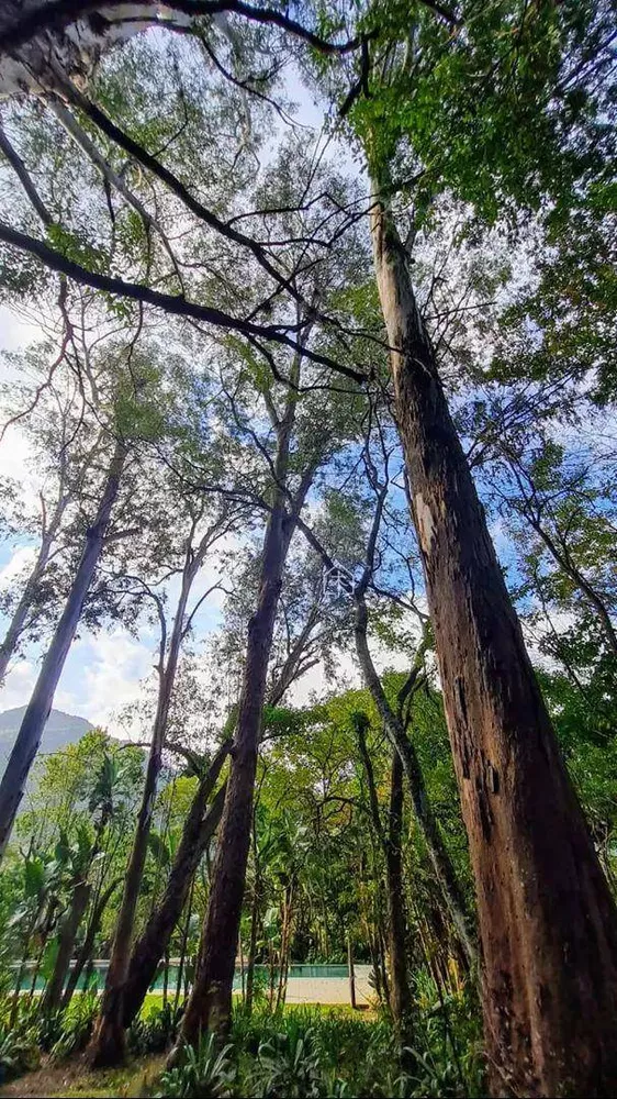 Sítio, 4 quartos, 10000 m² - Foto 10