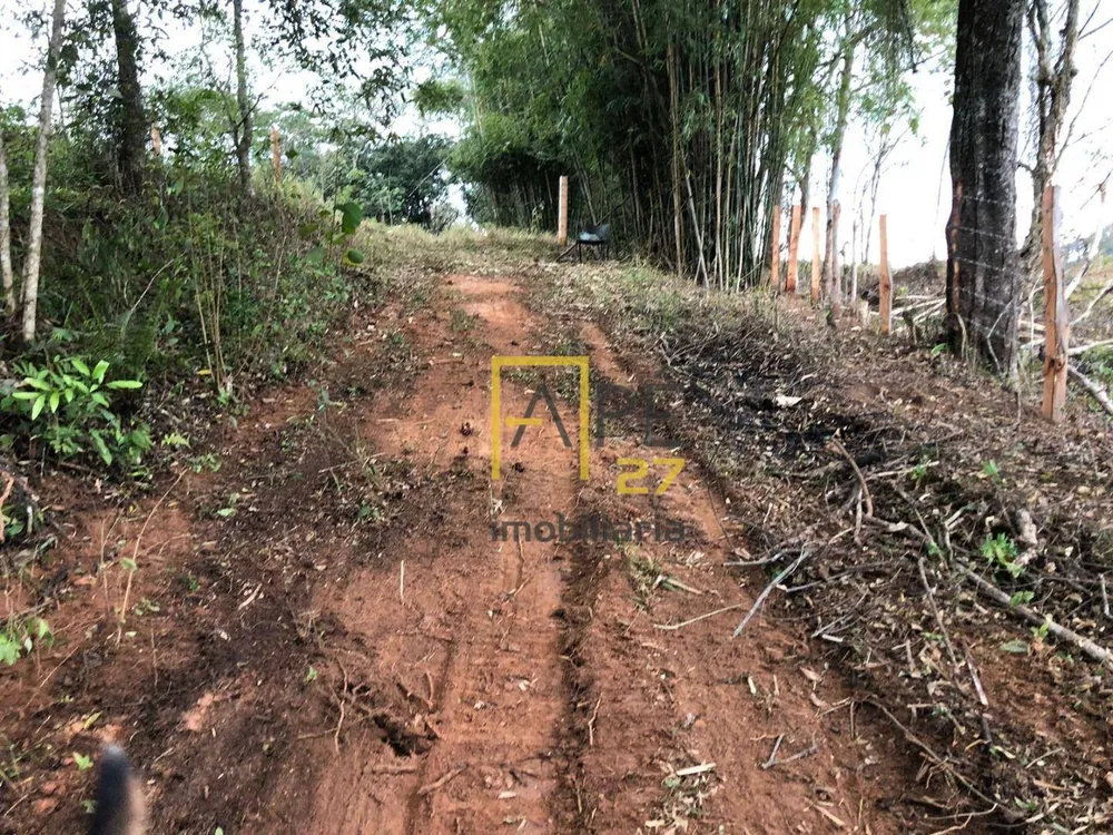 Terreno, 8 hectares - Foto 4
