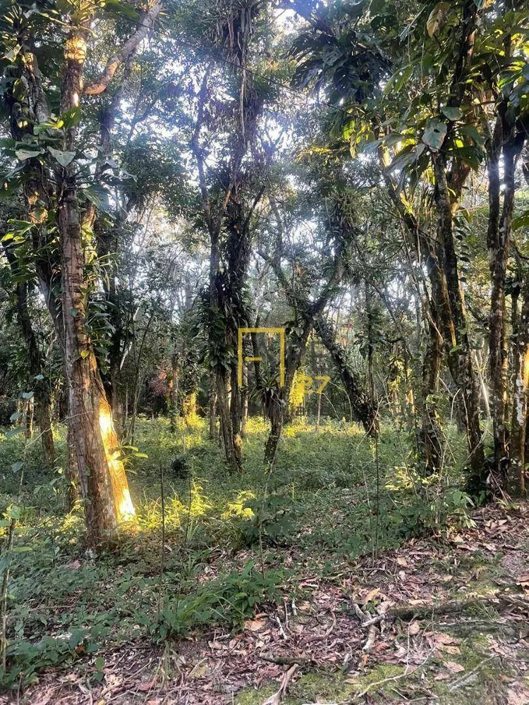 Loteamento e Condomínio, 1300 m² - Foto 1