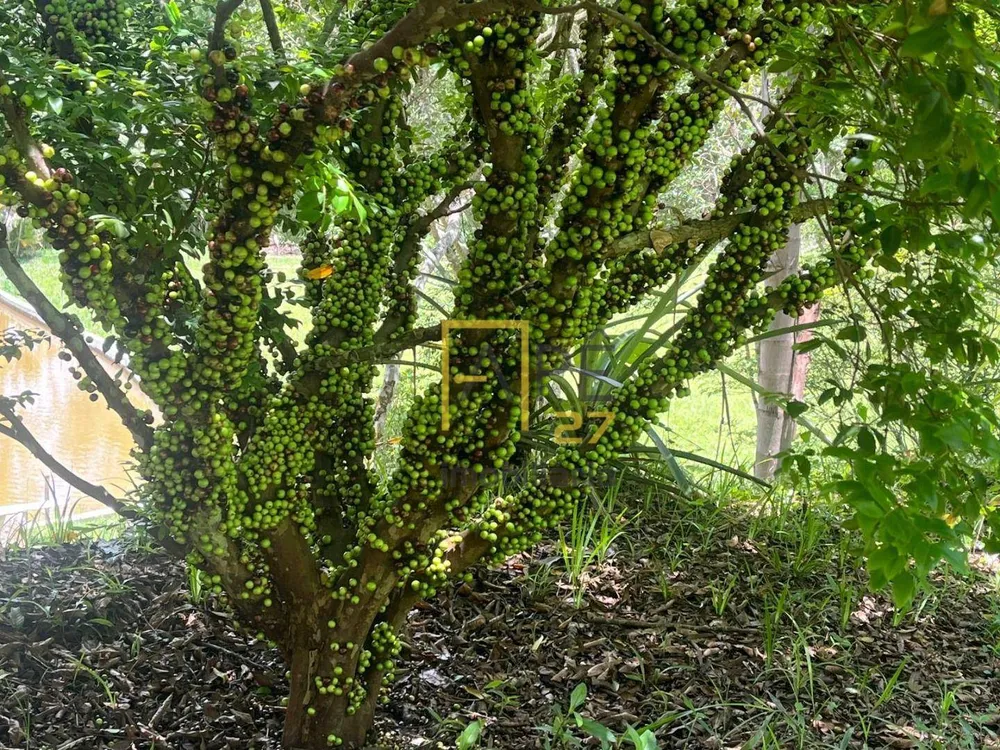 Sítio, 4 quartos, 1 hectares - Foto 11