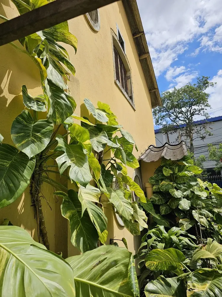 Casa, 3 quartos, 200 m² - Foto 2