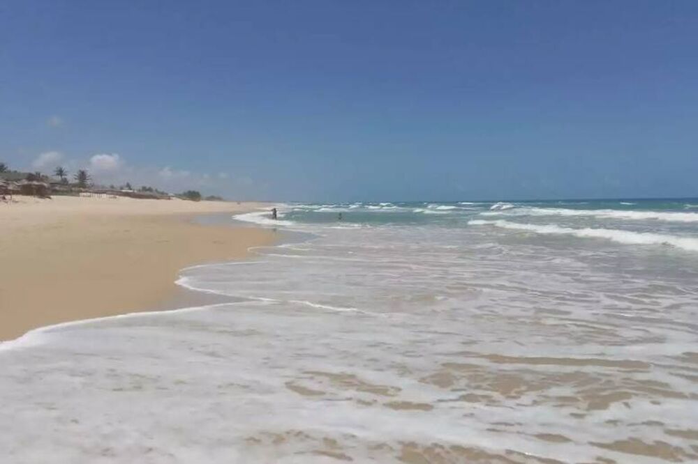 Casa, 4 quartos, 320 m² - Foto 5