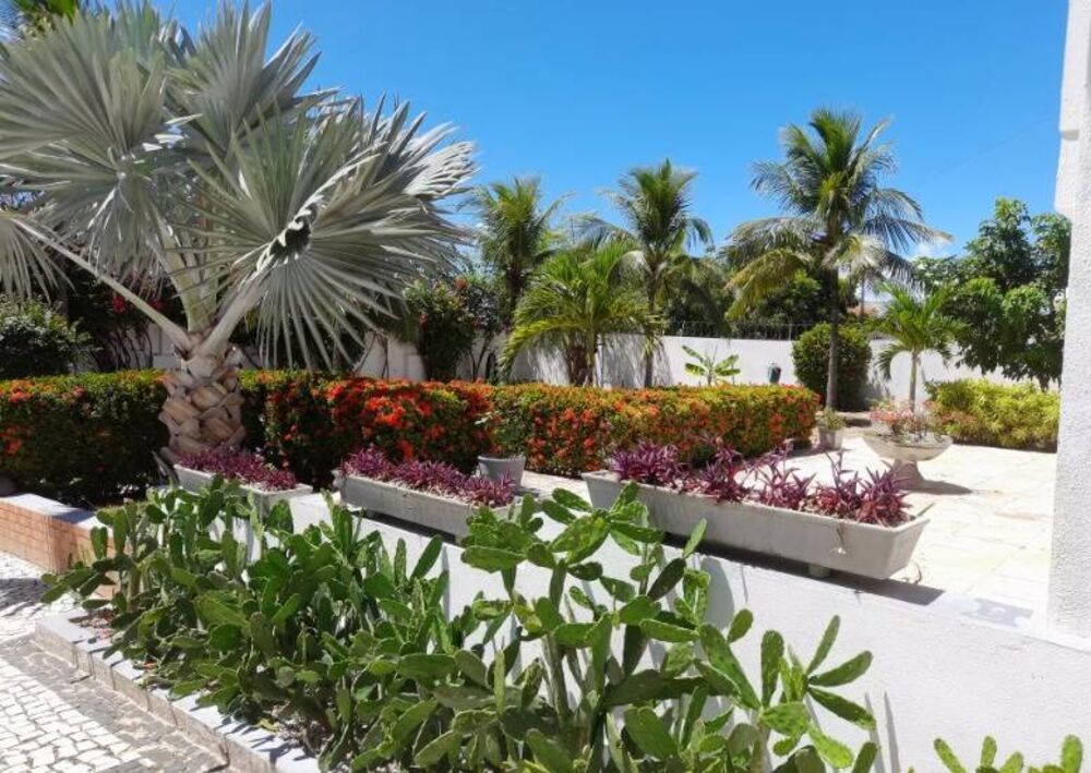 Casa, 4 quartos, 320 m² - Foto 7