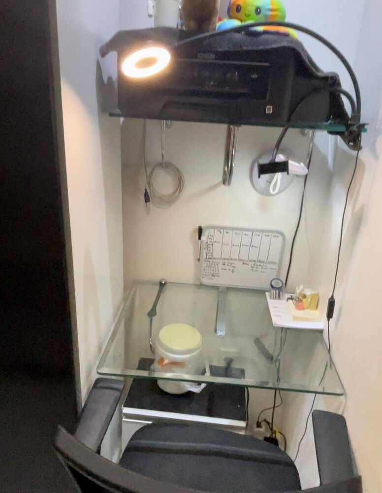 Apartamento - Foto 2