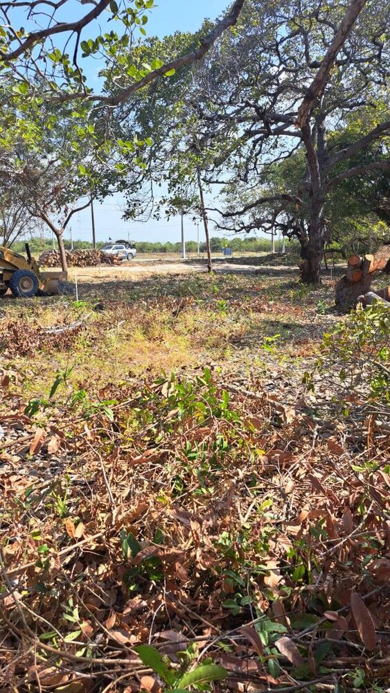 Terreno, 175 m² - Foto 6