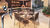 Apartamento, 2 quartos, 5577 m² - Foto 1