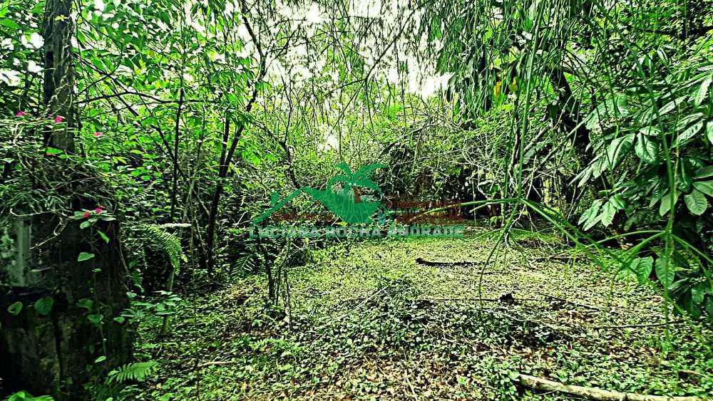 Terreno, 2115 m² - Foto 1
