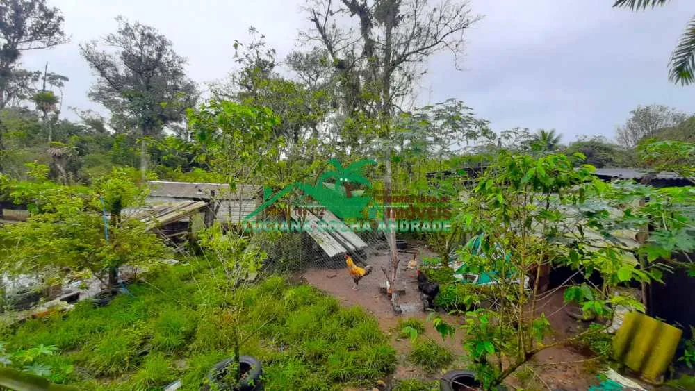 Chácara, 2 quartos, 2400 m² - Foto 16