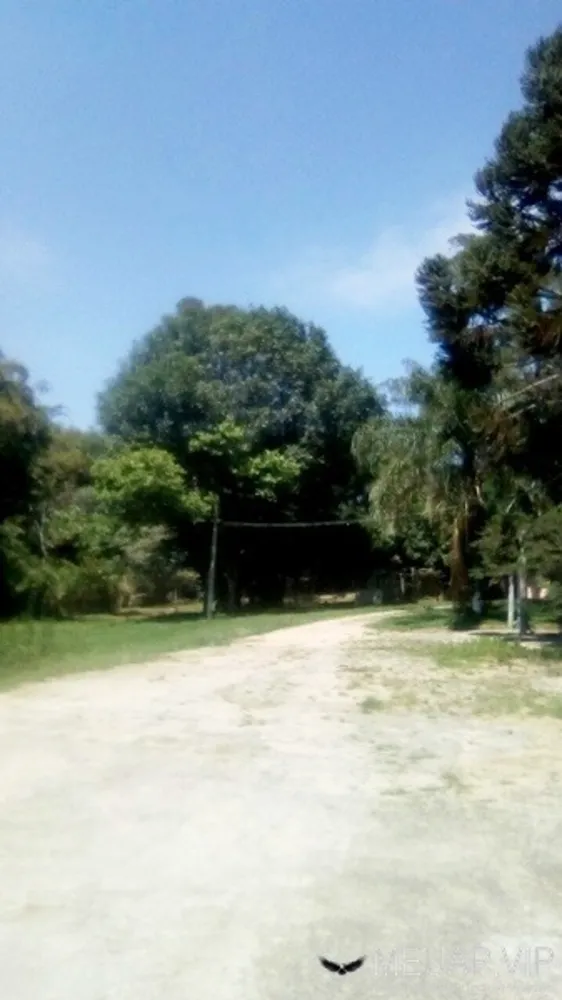 Sítio, 6 quartos, 2 hectares - Foto 4