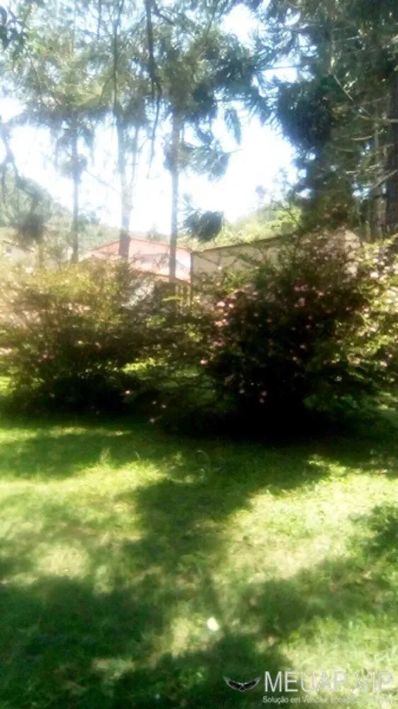 Sítio, 6 quartos, 2 hectares - Foto 7