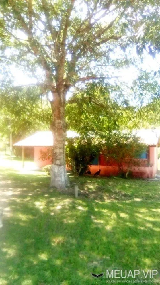 Sítio, 6 quartos, 2 hectares - Foto 2
