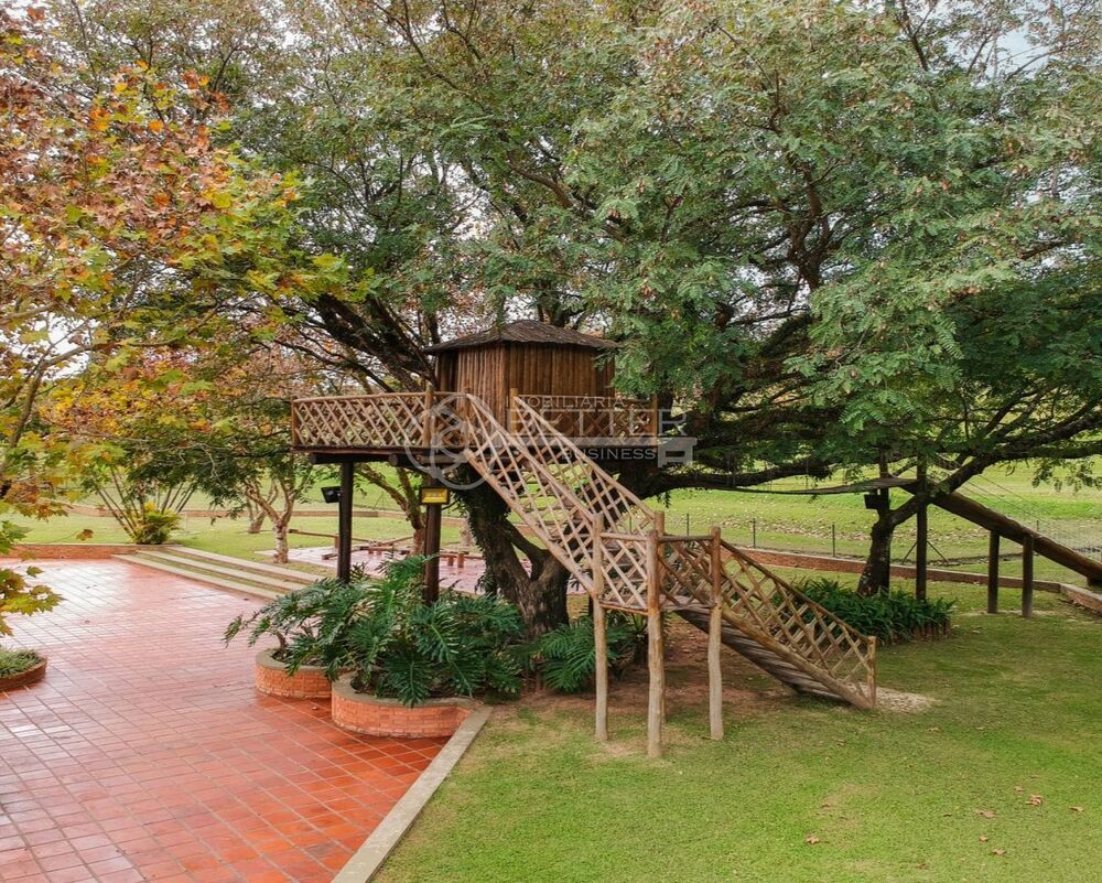 Casa, 5 quartos - Foto 4