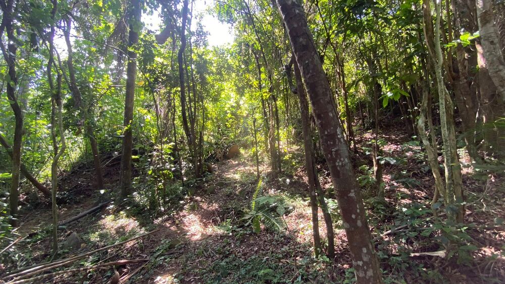 Terreno, 3418 m² - Foto 15