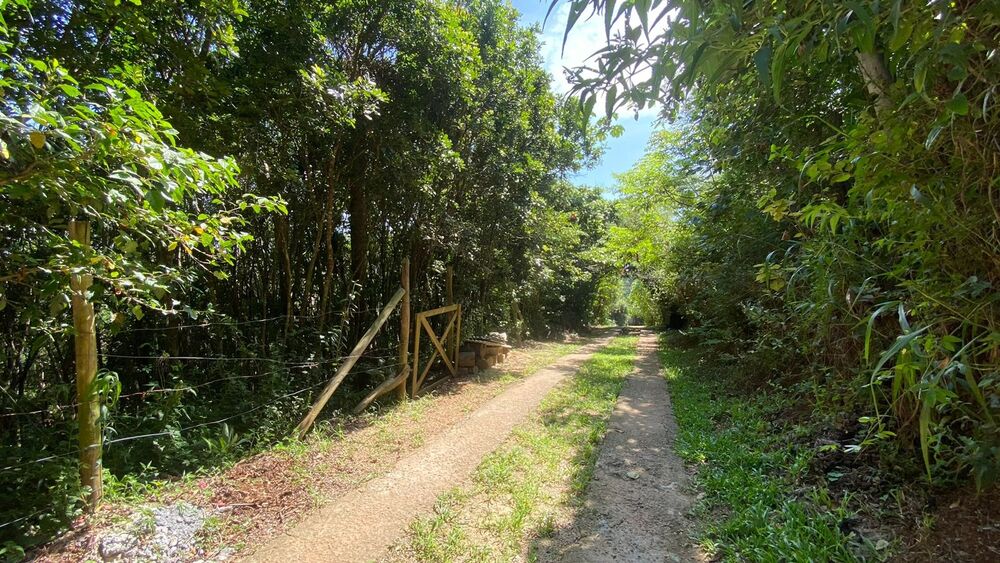 Terreno, 3418 m² - Foto 11