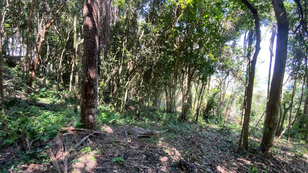 Terreno, 3418 m² - Foto 16