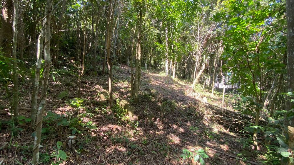 Terreno, 3418 m² - Foto 14