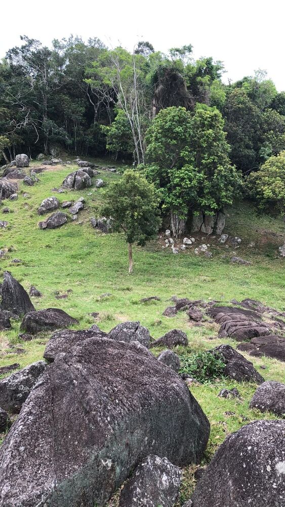 Terreno, 10000 m² - Foto 7