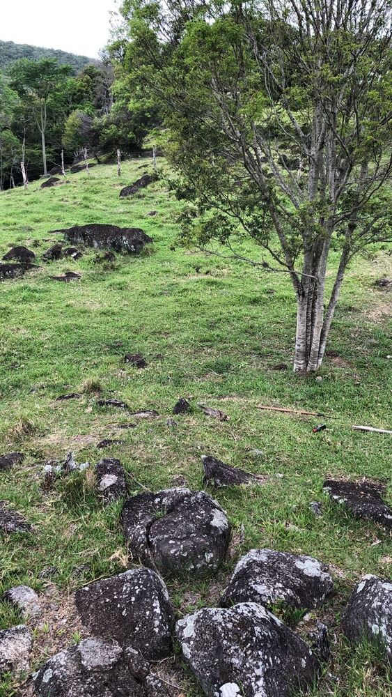 Terreno, 10000 m² - Foto 8