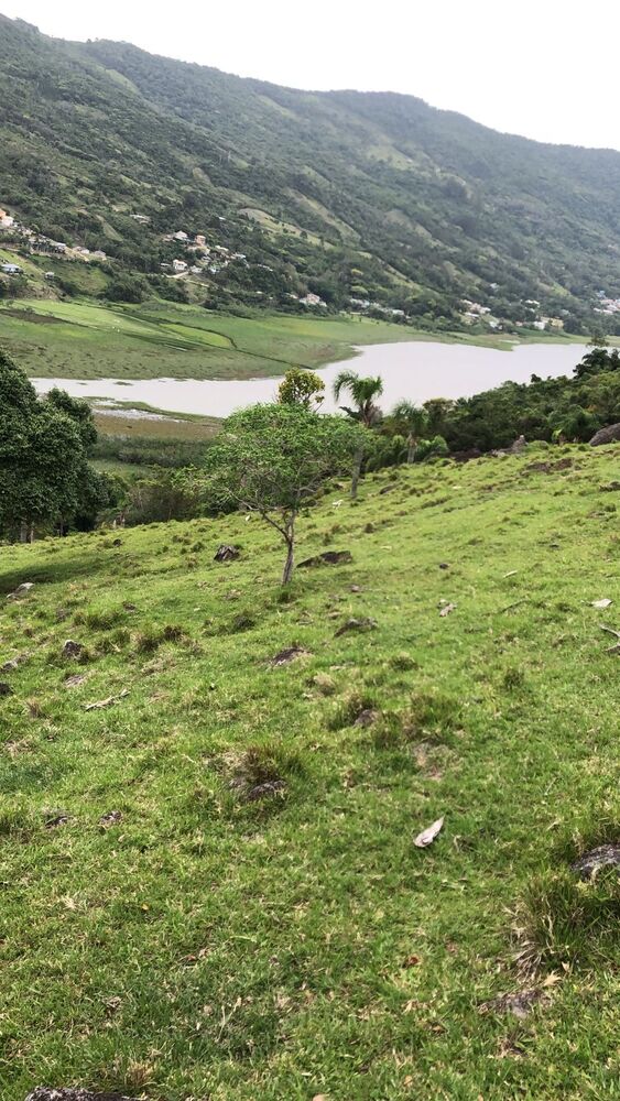 Terreno, 10000 m² - Foto 5