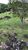 Terreno, 10000 m² - Foto 4