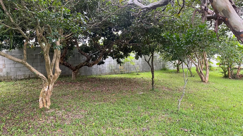 Terreno, 300 m² - Foto 3