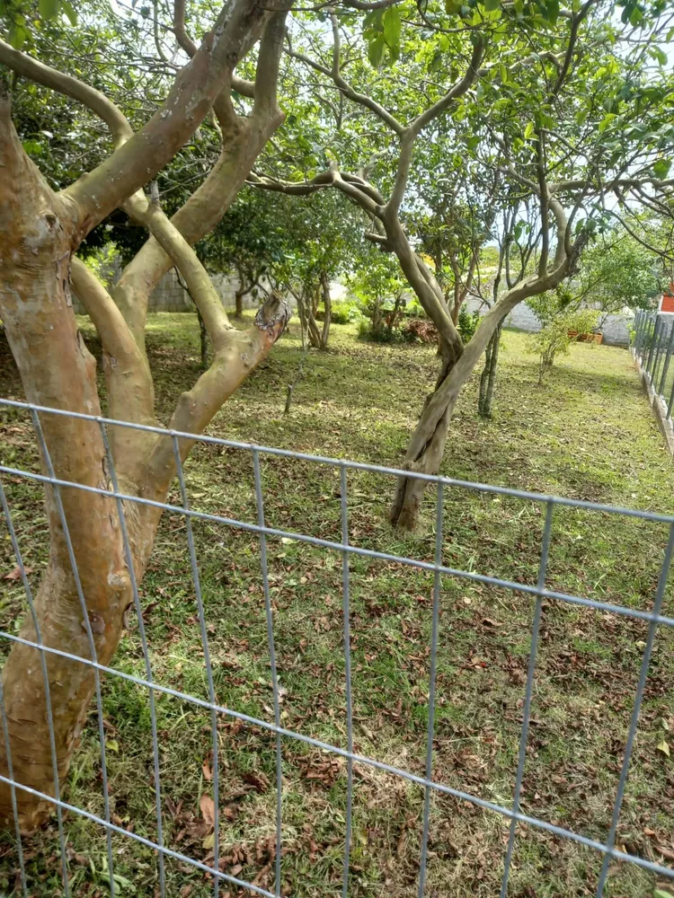 Terreno, 300 m² - Foto 5