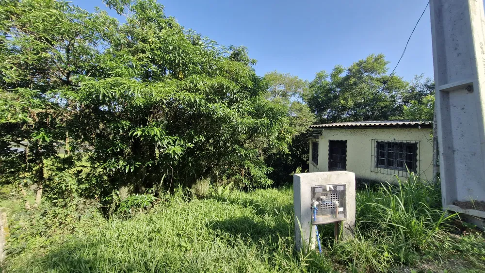 Terreno, 1 hectares - Foto 6