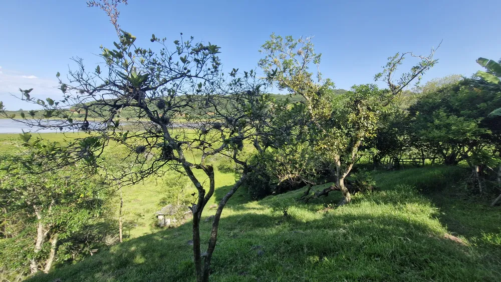 Terreno, 1 hectares - Foto 4