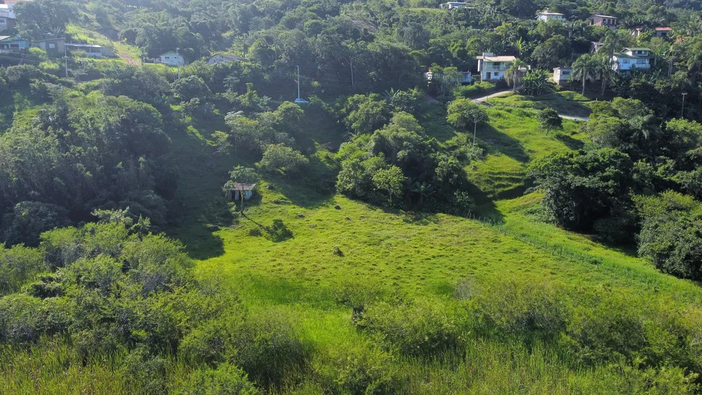 Terreno, 1 hectares - Foto 7