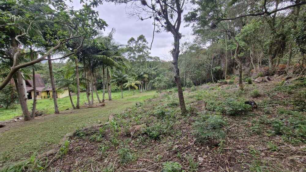 Terreno, 1528 m² - Foto 7