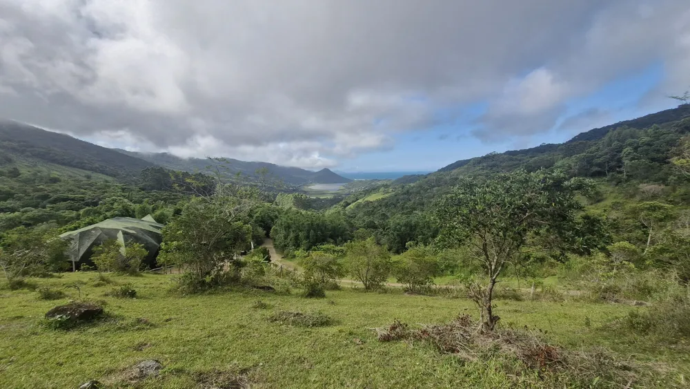Terreno, 9 hectares - Foto 6