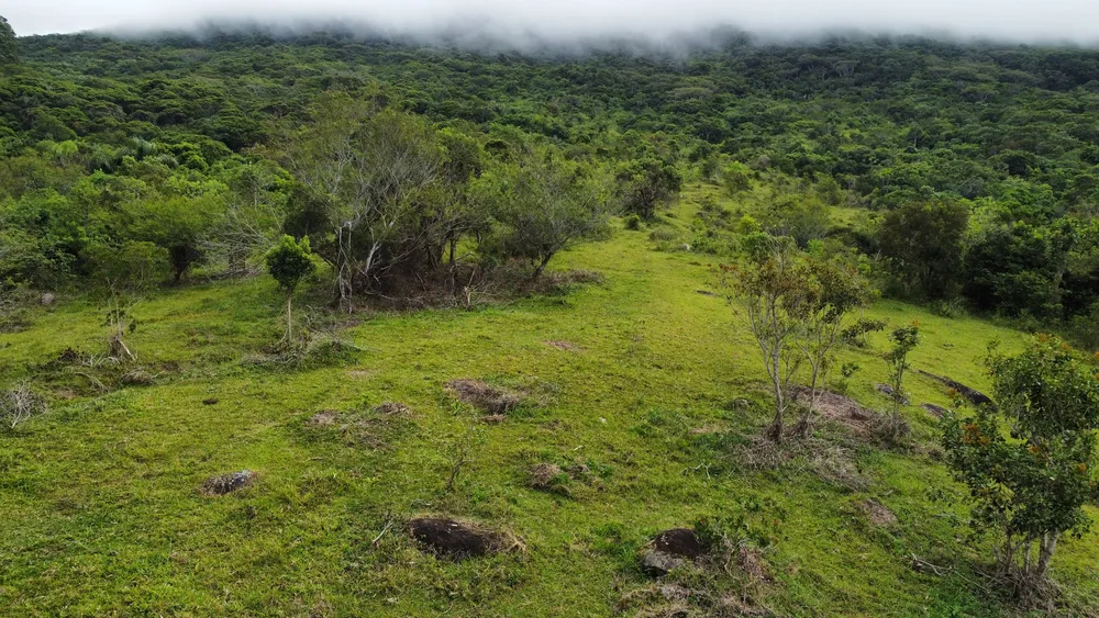Terreno, 9 hectares - Foto 10
