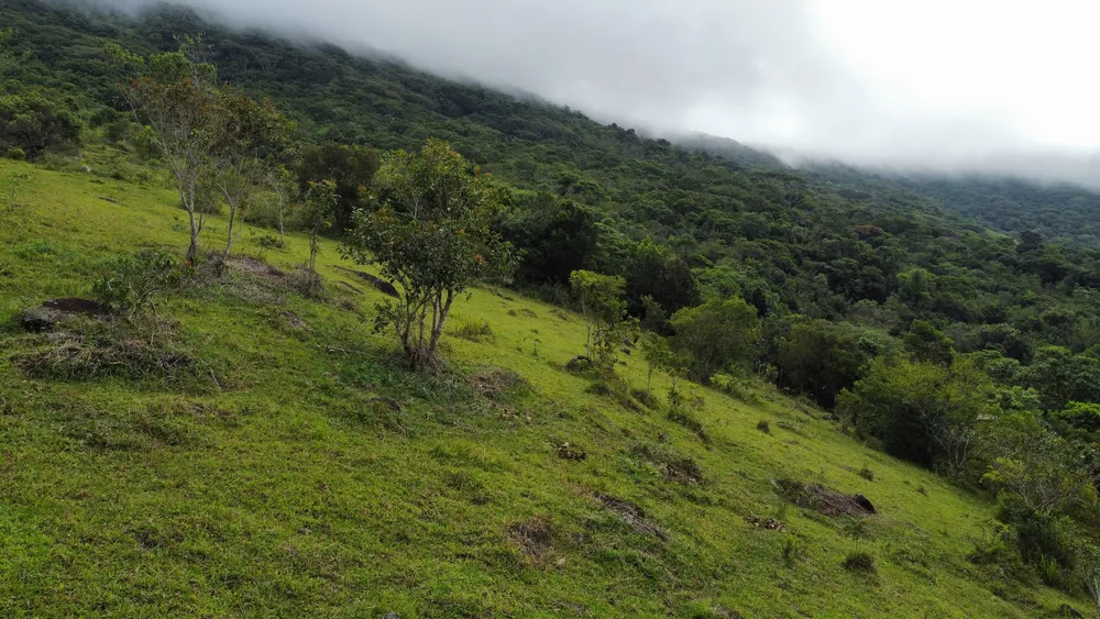 Terreno, 9 hectares - Foto 9