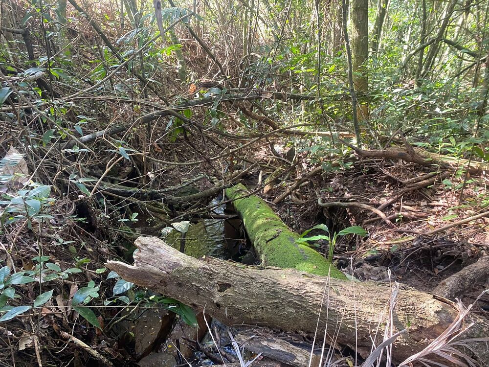 Sítio, 3 quartos, 7 hectares - Foto 48