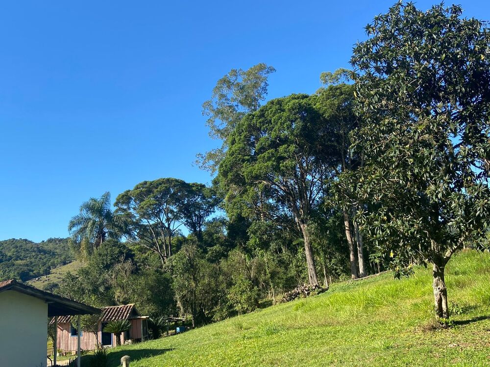 Sítio, 3 quartos, 7 hectares - Foto 39