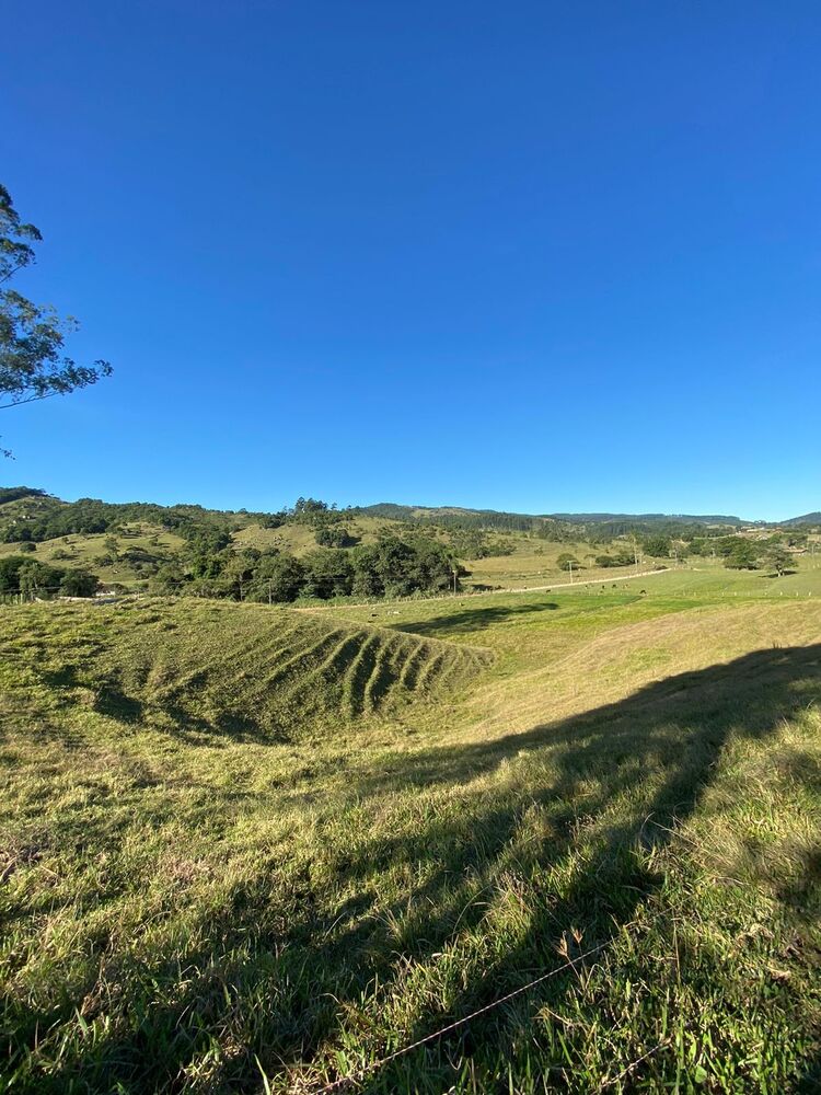 Sítio, 3 quartos, 7 hectares - Foto 5