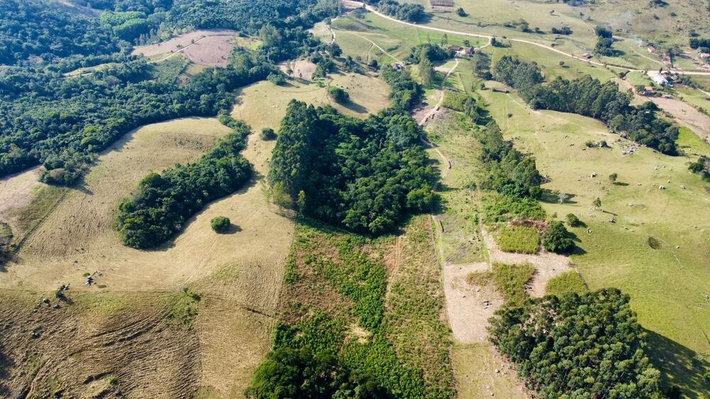 Sítio, 3 quartos, 7 hectares - Foto 4