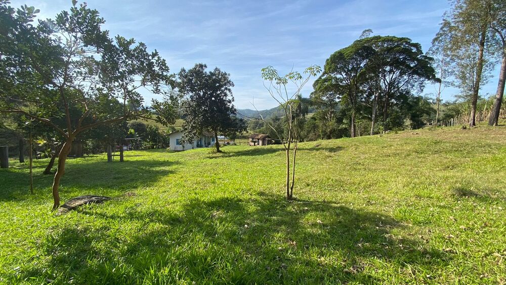 Sítio, 3 quartos, 7 hectares - Foto 37