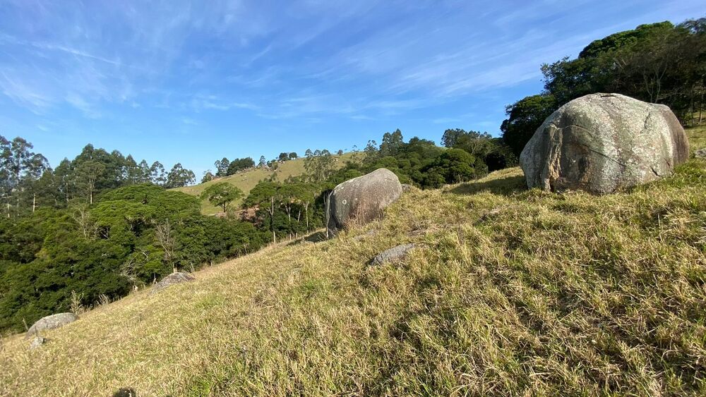 Sítio, 3 quartos, 7 hectares - Foto 7