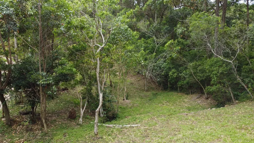 Terreno, 3013 m² - Foto 5