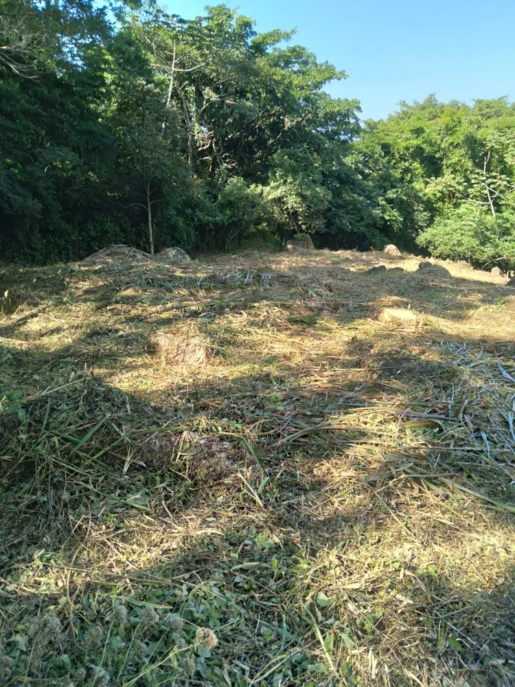 Terreno, 1728 m² - Foto 5