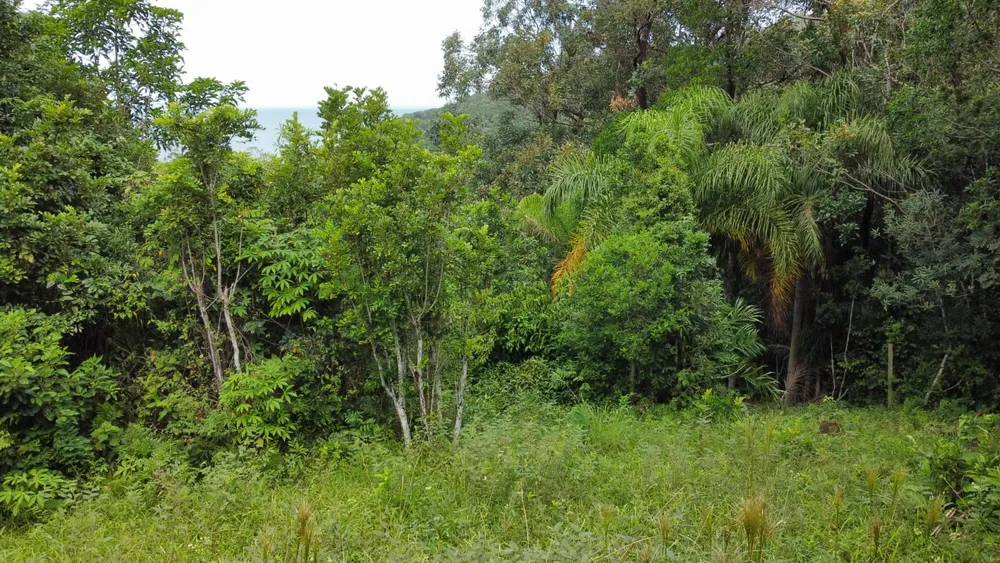 Terreno, 1500 m² - Foto 5