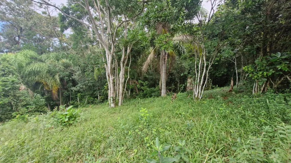 Terreno, 1500 m² - Foto 6